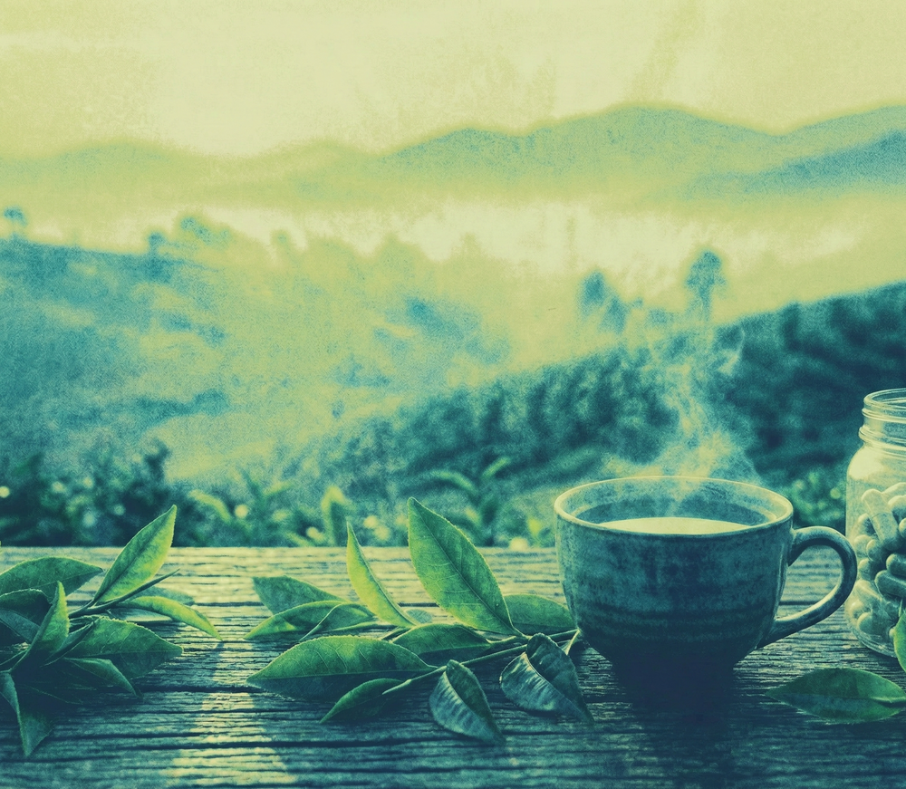 L-theanine for performance